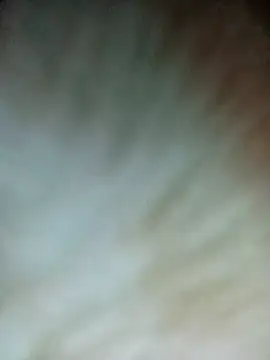 Nul-chal online show from 26, 2, 2026