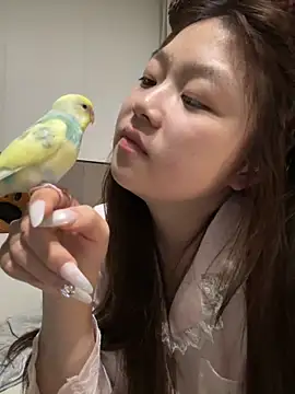 xiaojingzi66 online show from 28, 4, 2026