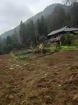 tian7788 online show from 17, 2, 2026