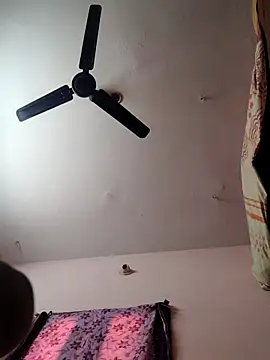 pujapujarrrr online show from 9, 11, 2025