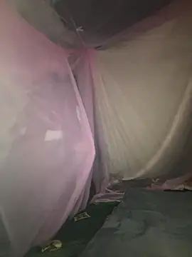 Snapshot of gino-sex chatting on 28, 11, 2025 gino-sex online show from 28, 11, 2025