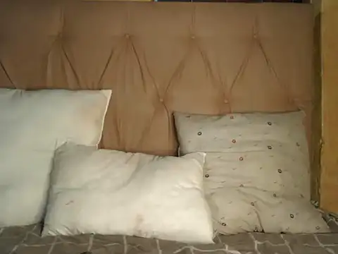 Lucile Carrie online show from 5, 2, 2026