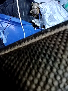 pino870 online show from 13, 11, 2025