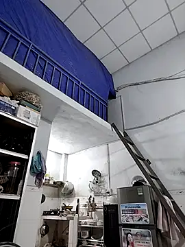 Liveryta online show from 28, 11, 2025