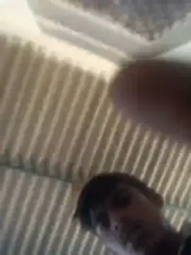 Pallu Asha online show from 2, 3, 2026