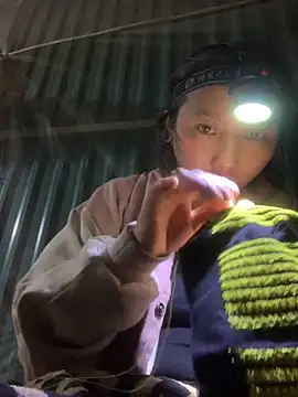 bi-bo123 online show from 13, 11, 2025