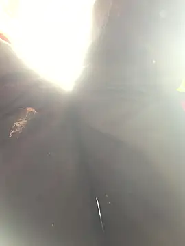 bi-bo123 online show from 10, 1, 2026