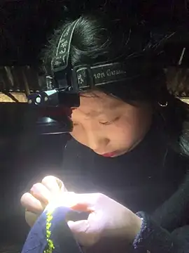 bi-bo123 online show from 22, 2, 2026