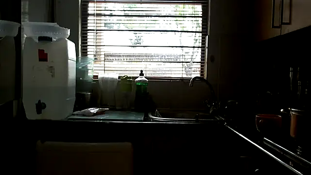 NewBeginnings8 online show from 8, 4, 2026