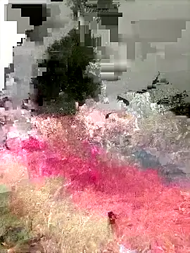 Ckinetor online show from 20, 12, 2025