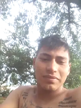 Ckinetor online show from 16, 12, 2025