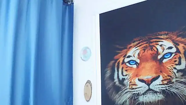 MassiveBoobsxxxx online show from 1, 3, 2026