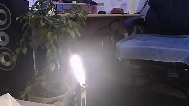 metalhead1970xh online show from 8, 2, 2025