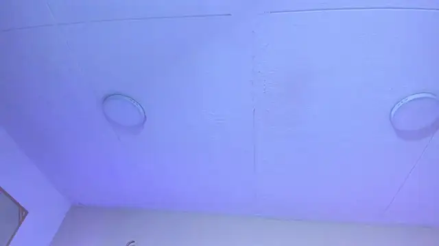 Sophie Russell  online show from 2, 12, 2025