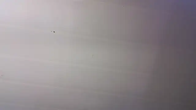 malen fitnessmilf online show from 23, 3, 2026