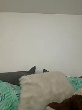 Ania rose online show from 7, 2, 2026