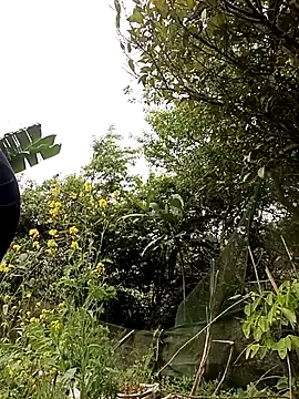 Alice-567 online show from 10, 3, 2026