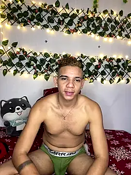 Dylams maja online show from 30, 11, 2025