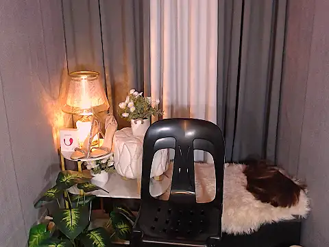 transSTARprincess online show from 28, 3, 2026