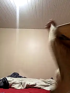 arybiten online show from 10, 2, 2026