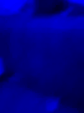 Asstray909 online show from 9, 11, 2025