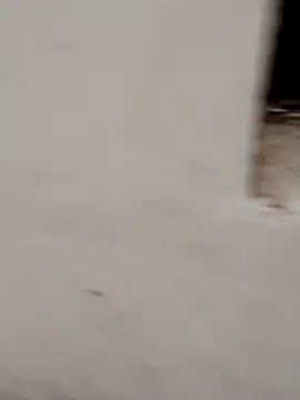 Jacqueline007 online show from 21, 12, 2025