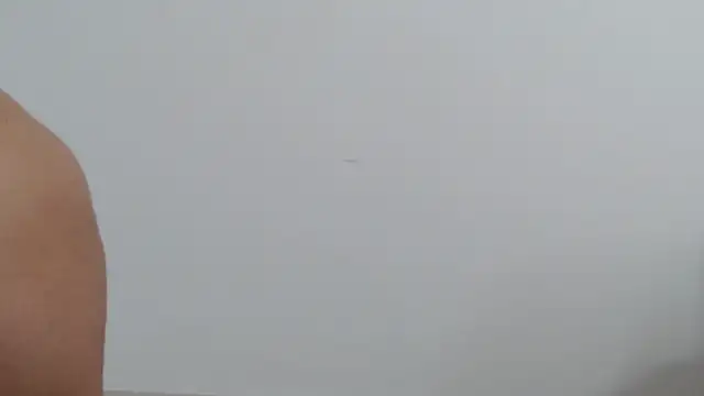 Snapshot of goddessvenus444 chatting on 2, 3, 2026 goddessvenus444 online show from 2, 3, 2026