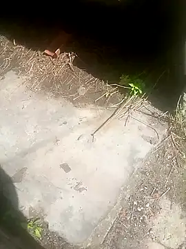 Narwindruners online show from 3, 11, 2025