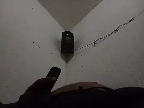 negrocomomisuerte online show from 5, 11, 2025