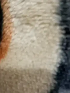 Radhaji88 online show from 11, 11, 2025