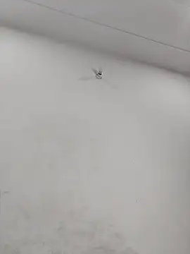 Radhaji88 online show from 14, 1, 2026