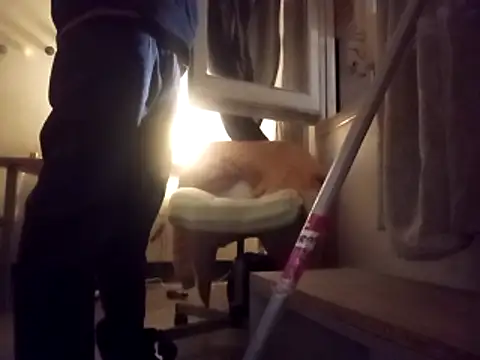 Angel23cm1 online show from 2, 4, 2026