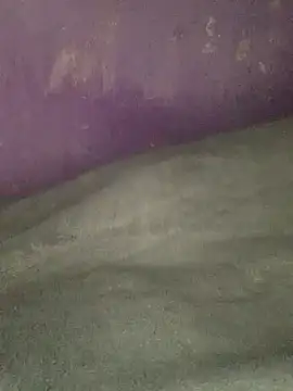 hotman29 online show from 17, 1, 2026