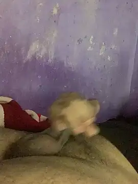 hotman29 online show from 23, 12, 2025