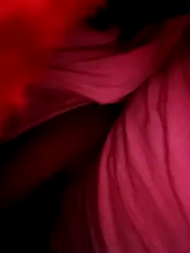 anjali9773 online show from 12, 11, 2025