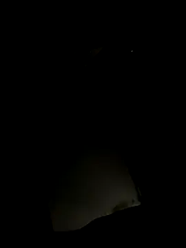 Nice boy 19 online show from 6, 11, 2025