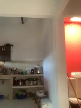 Megan2026 online show from 3, 12, 2025