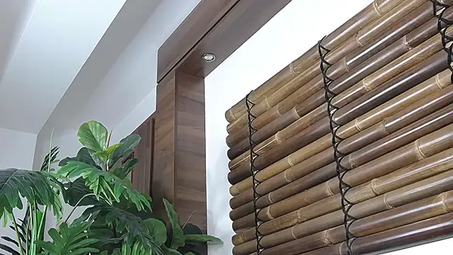 FayeSlate online show from 12, 11, 2025