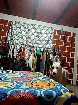 PaulinaLondra2 online show from 19, 12, 2025