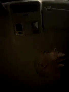 casalhottuga online show from 12, 11, 2025