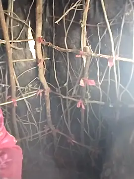 Jooli cuty online show from 20, 2, 2026