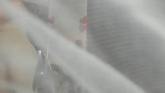 clara heat online show from 31, 3, 2026