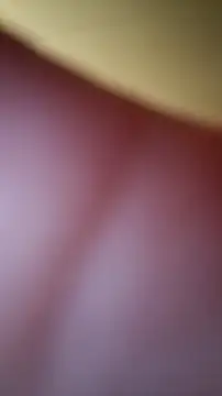 Ira 95 online show from 8, 11, 2025