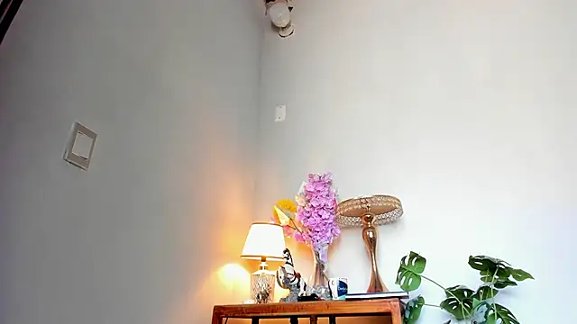 lucian davii online show from 27, 2, 2026