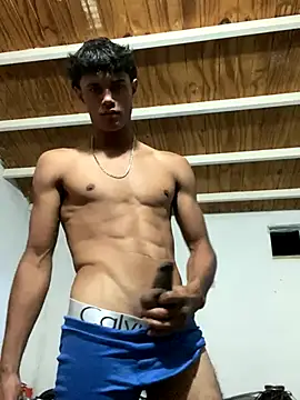 meliodas 23cm online show from 26, 11, 2025