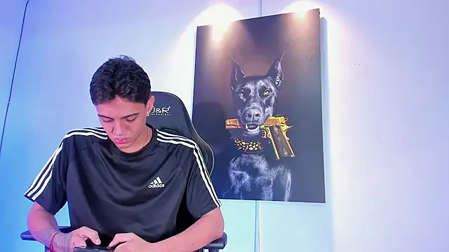 stiven 24cm online show from 18, 11, 2025