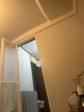 ippei0001 online show from 20, 3, 2026