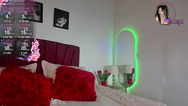 Snapshot of Scarlett_Jank chatting on 25, 2, 2026 Scarlett Jank online show from 25, 2, 2026