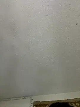 gatito polo69 online show from 6, 1, 2026