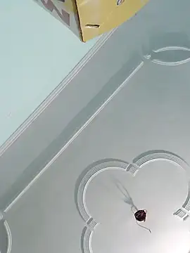 sanjana077 online show from 27, 11, 2025